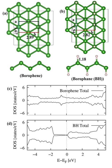 Top And Side Views Of The Optimized Structures Of Borophene A With