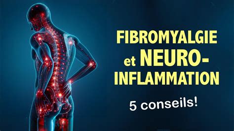 Fibromyalgie Et Neuro Inflammation Infos Et 5 Conseils Youtube