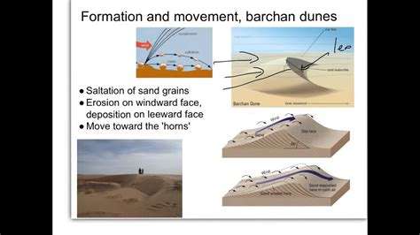 Barchan Dune Diagram