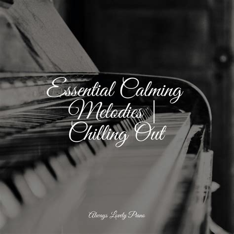 50 Meditation Collection 50 Soothing Piano Tracks To Relax To Album