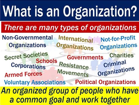 Organization Definition And Meaning Market Business News