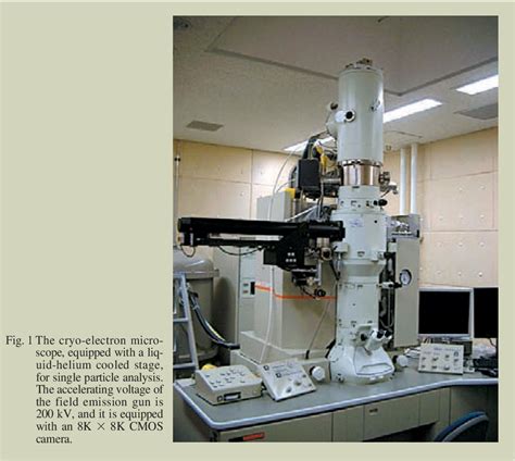 Figure From Application Of A Helium Cooled Cryo Electron Microscope