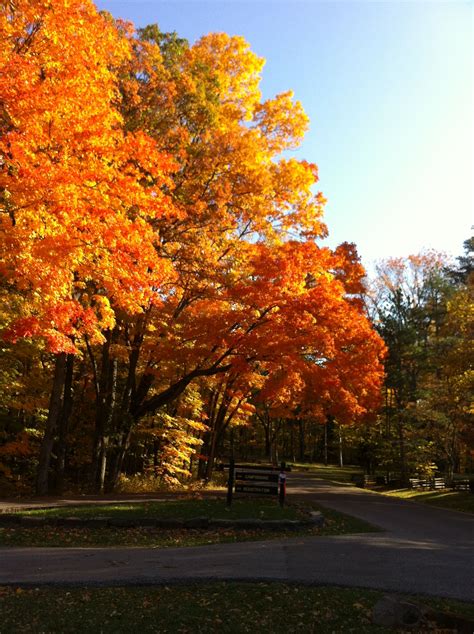 Brown County State Park | State parks, Beautiful places, Indiana travel