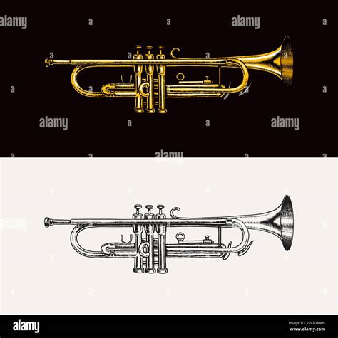 Jazz Instrument Trumpet Vector Illustration Classical Wind Musical