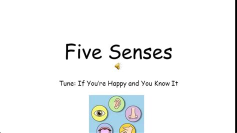 Five Senses Song - YouTube