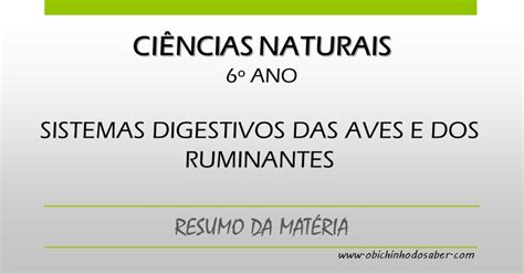 Ciências Naturais 6º ano Sistemas digestivos das aves e dos ruminantes