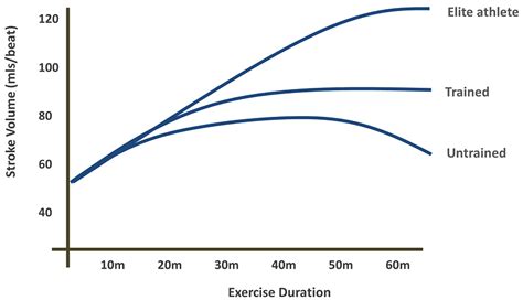 What Is Cardiac Drift A Guide For Athletes