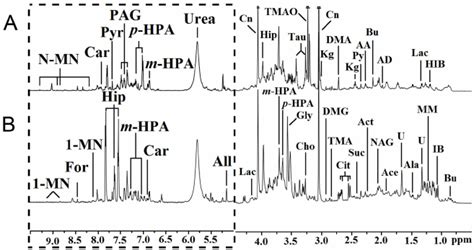 Representative NOESYPR1D 1 H NMR Spectra Of Urine Obtained From A