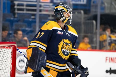 Quinnipiac Bobcats Goaltender Vinny Duplessis Signs Amateur Try Out With Providence Bruins