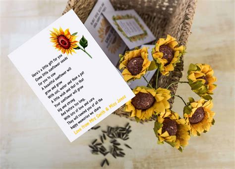 Class Pupil Seeds Sunflower Poem 1 Blooming Memories