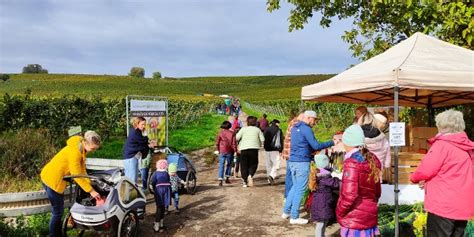 Schlemmerwanderung Oppenheim Wanderung Outdooractive