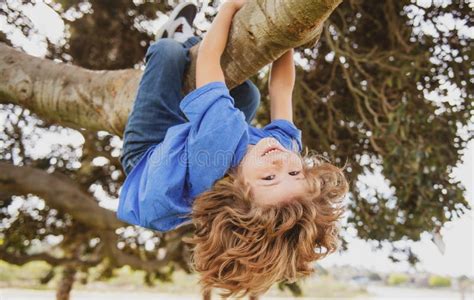 Des Enfants Grimpant Aux Arbres Accrochés à L envers Sur Un Arbre Dans