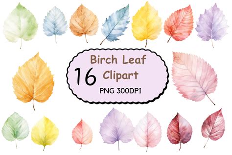 Watercolor Birch Leaves Clipart Graphic by ClipartDesign · Creative Fabrica