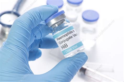 Haemophilus vaccine - Stock Image - F035/8990 - Science Photo Library