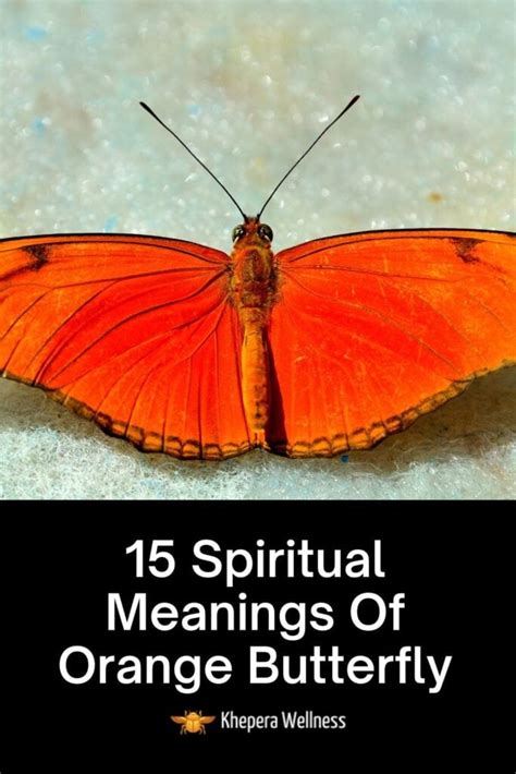 15 Significados De La Mariposa Naranja Simbolismos Espirituales