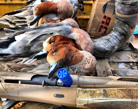 Foremost Worldwide Duck Hunting Best Duck Hunts Getducks