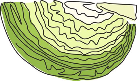 One Single Line Drawing Cut Sliced Healthy Organic Headed Cabbage For Farm Logo Identity Fresh