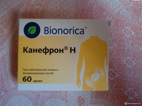 Растительный лекарственный препарат Bionorica КАНЕФРОН Н в таблетках ...