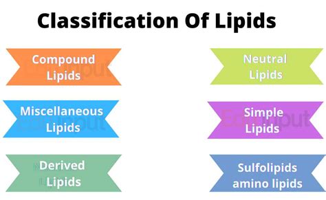 Classification of Lipids | Functions Of Lipids