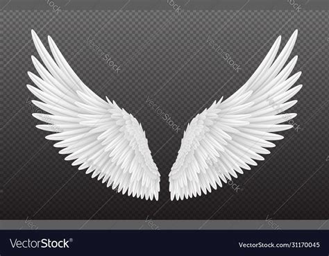 White Angel Wings, Free Preview, Illustrations, Vector Free, Graphic ...