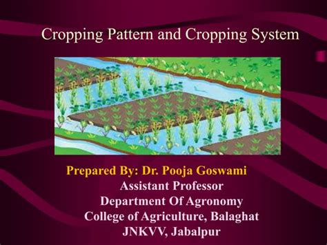 Cropping System