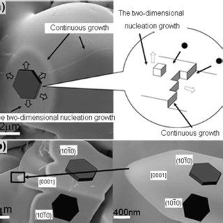 Schematic Diagram Of The Growth Mechanism Of Faceted Microstructure A