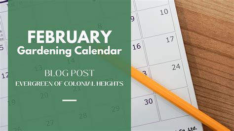 Gardening Calendar: February - Evergreen of Colonial Heights