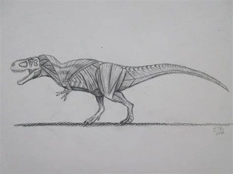 Video How To Draw Dinosaur Muscle Tyrannosaurus Anatomy