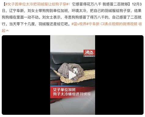 猫狗看病动辄花几千元，宠物医疗为何如此昂贵澎湃号·湃客澎湃新闻 The Paper