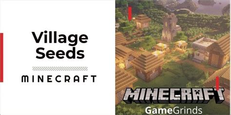 10 Best Minecraft Village Seeds - Magnificent Spawning Points | GameGrinds