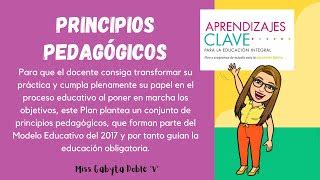 Descubrir 86 Imagen 14 Principios Pedagogicos Del Modelo Educativo