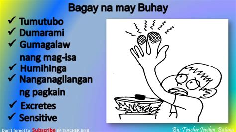 Mga Bagay Na May Buhay At Walang Buhayliving And Non Living Things