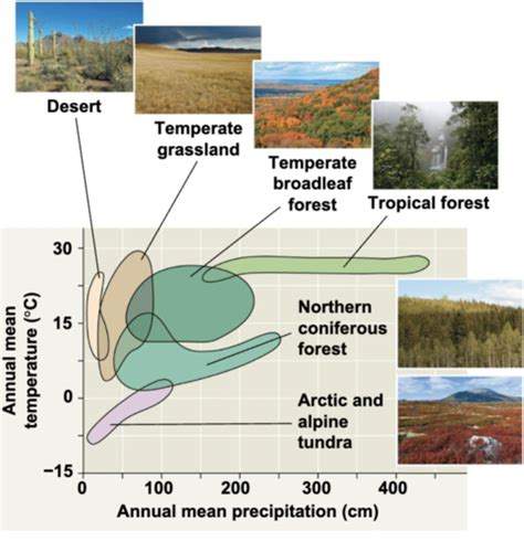 Global Ecology and the Biosphere Flashcards | Quizlet 