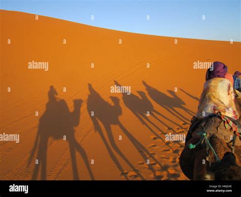 In The Deep Southern Sahara Camel Trekking To A Tuareg Desert Camp