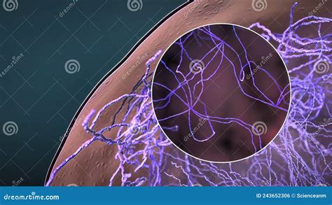 Endoplasmic Reticulum Travel Inside the Cell Showing the Mitochondria ... 