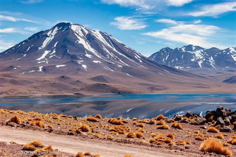 Lea Desierto De Atacama en línea