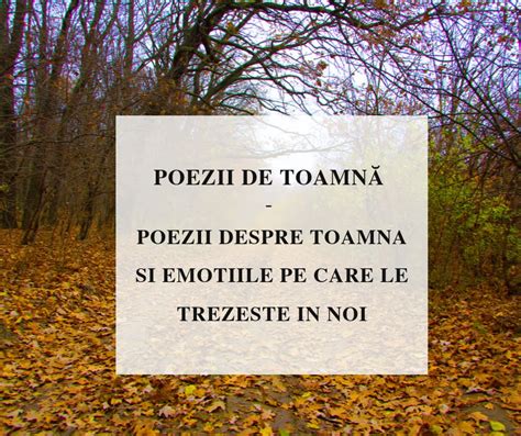 Cele Mai Frumoase Poezii de Toamna ale Poetilor Romani - PostModern