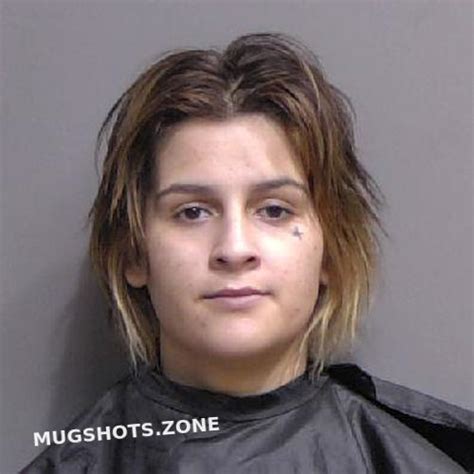 Nunez Eliza Faye Flagler County Mugshots Zone