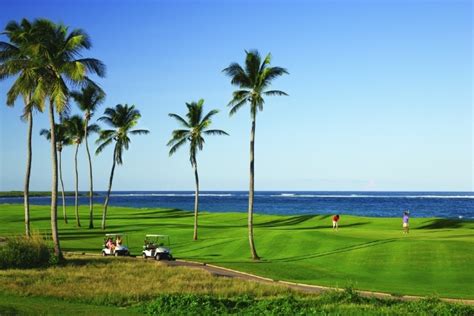 people playing golf near the ocean and palm trees