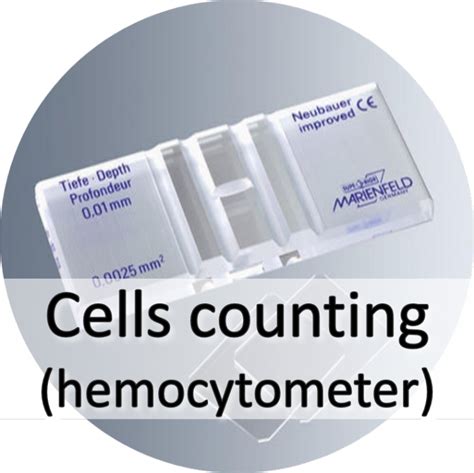 Cell Counting Hemocytometer사용법 세포 계산법 네이버 블로그