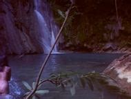 Naked Alicia Alonzo In The Mad Doctor Of Blood Island