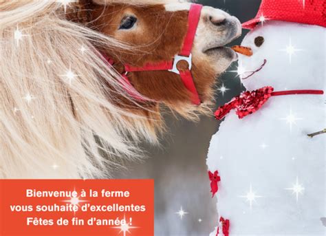 Joyeuses F Tes De Fin D Ann E Bienvenue La Ferme