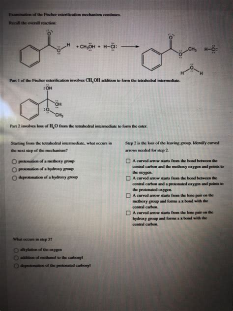 Solved Examination Of The Fischer Esterification Mechanism Chegg