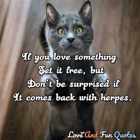 The 117 Best Funny Love Quotes With Images | Love and Fun Quotes