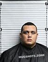 LOWERS NICO AARON 03 27 2024 Brunswick County Mugshots Zone