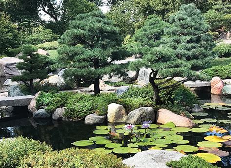 History and Modern Design of Japanese Gardens - POND Trade Magazine