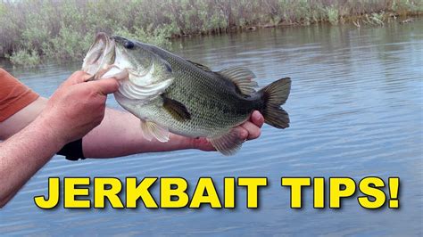 Proven Bass Fishing Jerkbait Tips With Hank Parker Bass Fishing Youtube