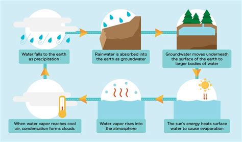 Water Cycle Facts, Water Sources, Groundwater, Rainwater, Vapor, Fresh ...