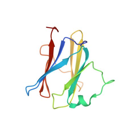 RCSB PDB 2XXS Solution Structure Of The N Terminal Domain Of The