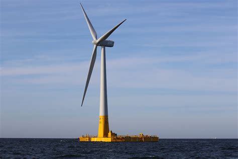 Des Oliennes Flottantes Dans Le Golfe Du Lion Fin